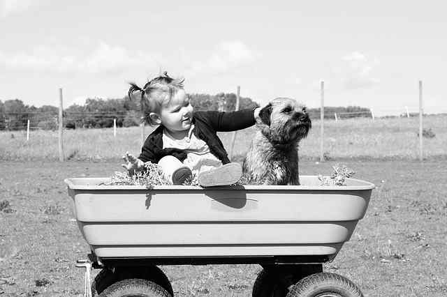 Criança e cão em carrinho